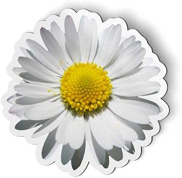 Daisy Flower - Magnet - Car Fridge Locker - 3"