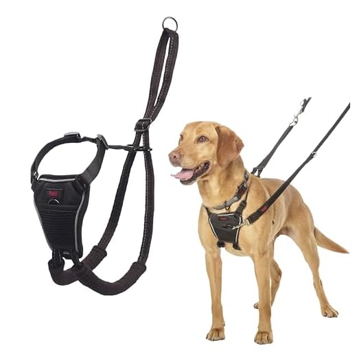 HALTI No Pull Harness - To Stop Your Dog Pulling on the Leash. Adjustable, Lightweight and Easy to Use. Reflective Dog Training Harness for Medium Dogs (Size M)