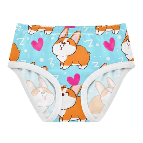 Toddler Underwear Floral 2t Cotton Panties Little Girl Flower Briefs Girls Undies Cute Cartoon Corgi Dogs Light Blue