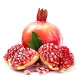 20 piezas Semillas resistentes del granado árbol frutal inusuales plantas raras Comprar planta de interior de árboles frutales. árboles jardín resistente planta sabroso