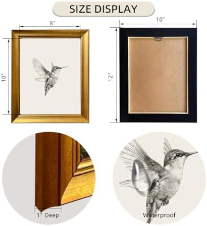 Hummingbird Painting Vintage Bird Picture Wall Decor Gold Framed Canvas Wall Art Nursery Print Neutral Minimalist Artworks for Bedroom Living Room Home Decoration