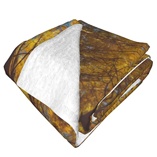 Autumn Yellow Trees Printed Throw Blanket Ultra-Soft Fuzzy Blanket Warm Blanket Fluffy Reversible Blanket For Bed And Couch #TOP2