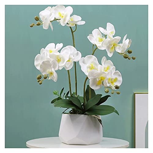 Orchidées artificielles en pot céramique de 50 cm pour décoration intérieure