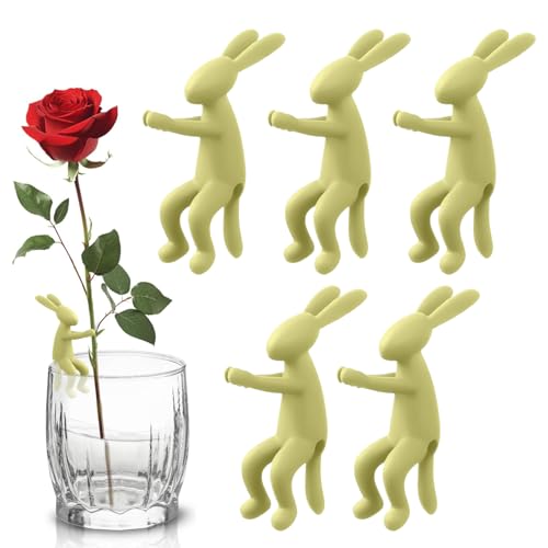 Générique Plant Propagation Buddy – 5 pièces de Fixation d'escalade Mignonne, Ensemble de Pots de pour d'intérieur, Rebord de fenêtre, Balcon, Table à Manger, Chambre à Coucher