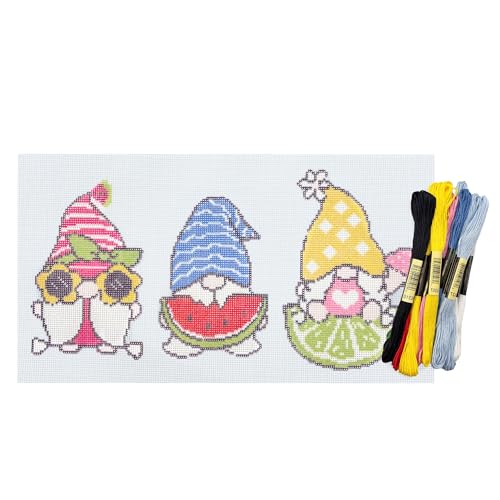 Image of Howie's Needlepoint Needlepoint Kits, 18CT Printed Embroidery Pattern Starter Kits, Stamped Patterns Canvas Kits(Summer of Joy,4.5x6.5inch)