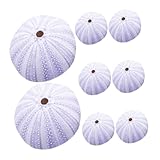 Multifonctionnel : coquilles d'oursins peuvent utilisées comme objets décoratifs, matériaux d'artisanat et plus , des possibilités infinies de créativité nbsp,coquillages pour plantes aériennes,oursins pour plantes aériennes
