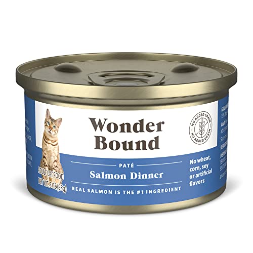 Amazon Brand - Wonder Bound Wet Cat Food Pate No Added Grain (Salmon) 3 ounce (Pack of 24)