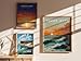 Swell Scenes Venice Jetty Florida Surf Spot Wall Art 24x36 in/Black Floating Frame Canvas