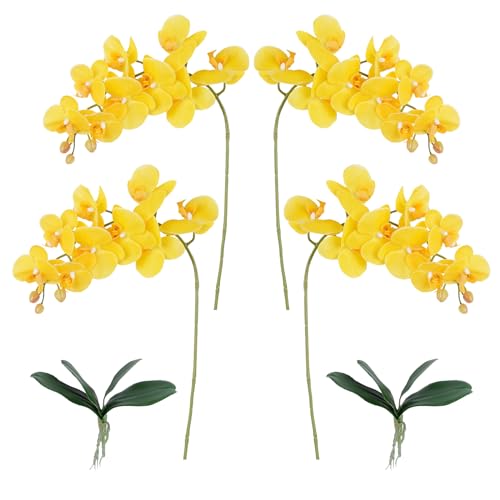 VaryFloral  4{ CG[ A[eBtBVt[ u[P Ӓ  ͂Ȃ ԑ tFCNt[ lHϗtA t[AWg ʐ^Be Be EFfBO  JXj LO a ̓ z[ I