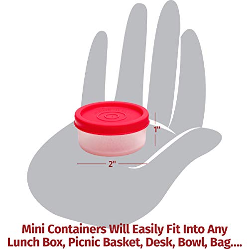 Image of SIGNORA WARE Nano BPA Free Plastic Containers Set (40ml x 6 | Set of 6 | Multicolor)