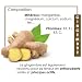 Té de jengibre - cortar de raíz - infusión digestiva Tonifiante y...