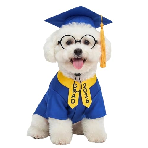 Disfraz de graduación para perro, tamaño mediano azul miniatura 2