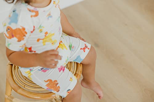 Copper Pearl Two Piece Short Sleeve Toddler Pajamas PJ Sets for Boys and Girls - Adorable Pattern Summer Pajamas Shorts to Keep Cool While Sleeping, Size 12 Months to 5T - Sesame Friends4