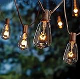 SkrLights Outdoor Patio String Lights,10Ft Edison Bulb String Lights for Patio Garden Porch Backyard...