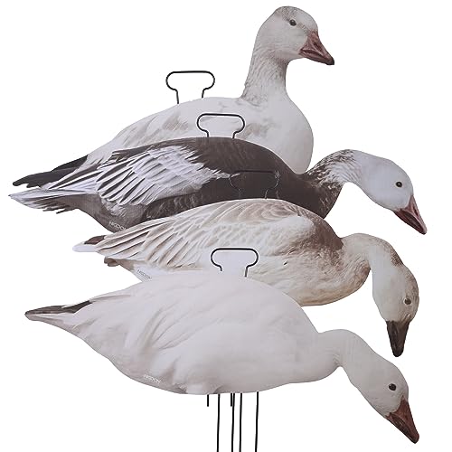 Higdon Outdoors Flats Snow & Blue Goose Standard Silhouette Waterfowl Decoy, 12-Pack