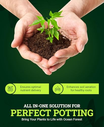 FoxFarm Ocean Forest Potting Soil, 12qt – Light, Aerated Texture, Designed for All Container Plants – pH Adjusted for Optimal Nutrient Uptake, Effectively Retains Moisture (12 Quart (3 Pack))