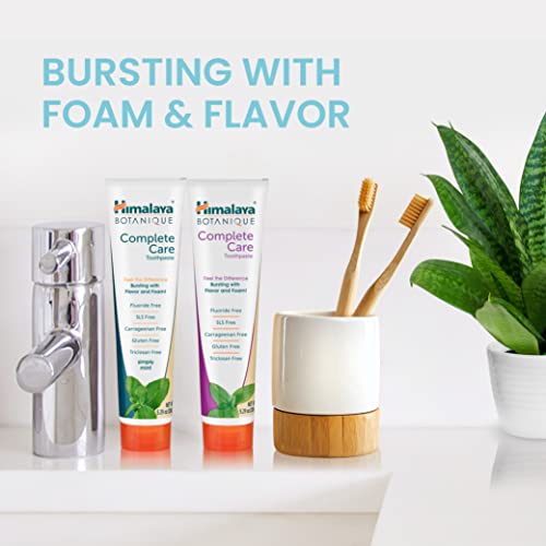 Himalaya Botanique Complete Care Toothpaste Variety Pack, Fluoride Free Simply Mint And Simply Spearmint Flavors, Fluoride Free For A Clean Mouth, Whiter Teeth And Fresh Breath, 5.29 Oz, 2 Pack #TOP3