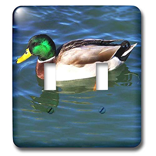 3dRose }K-_ugOXCb` (LSP_831_2) e