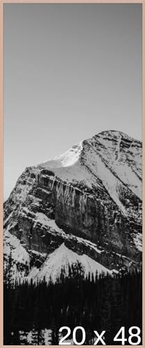 Frame It Easy 20 x 48 Rose Gold Metal Frame (Ashford)