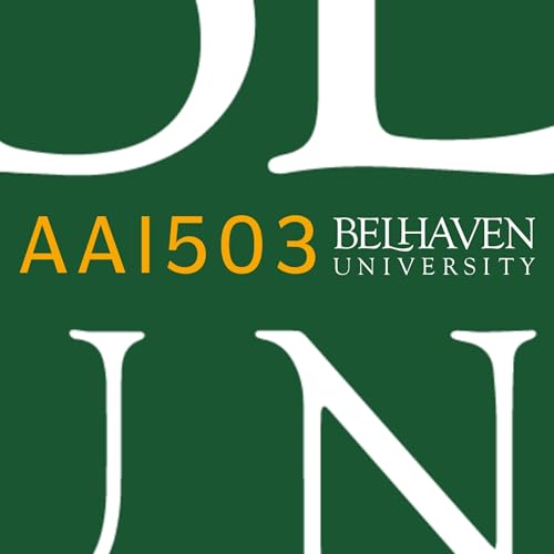 『AAI503 - Belhaven University Lectures』のカバーアート