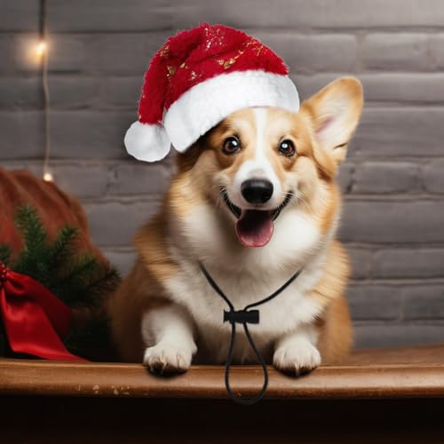 KONVINIT Weihnachtsmütze für Hunde - Nikolausmütze Santa Mütze für Mittelgroß Große Hunde, Weihnachtskostüm Outfits Weihnachts Deko Geschenk, Rot Size L