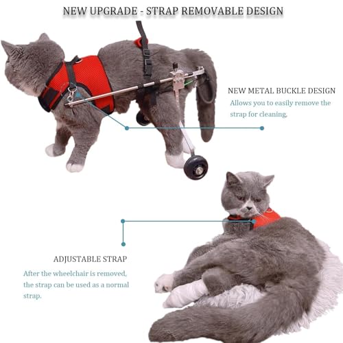 RUYICZB Katzenrollstuhl Für Hinterbeine, Verstellbarer Haustierrollstuhl, Leichter 2-Räder-Katzenrollstuhl Für Das Rehabilitationstraining Beim Gehen Mit Behinderten Hinterbeinen,S