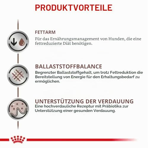 Royal Canin Veterinary Gastrointestinal Low Fat | 6 kg | Diät-Alleinfuttermittel für ausgewachsene Hunde | Trockenfutter zur Unterstützung der Verdauung | Niedriger Fettgehalt