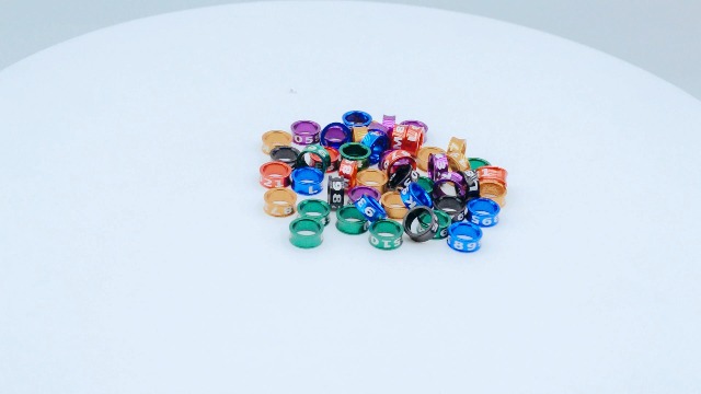 Amazon.com : STPCTOU Bird Rings, Bird Bands, Bird Leg Rings