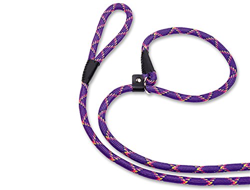 Nobby 79260 - 38 Retriever Line Fun Pattern