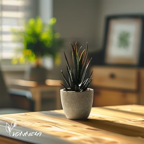 YVONNEYI 4Stück Kunstpflanze, 25.5/14.6 cm Künstliche Pflanzen wie echt für Deko Wohnzimmer, Klein Sukkulenten Künstliche für Office Schlafzimmer Badezimmer Küchen Zuhause Innen Deko – Bild 5