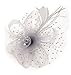 Cizoe Fascinators Hat for Women Tea Party Headband Kentucky Derby Wedding Flower Cocktail Mesh Feathers Hair Clip(1-Silver Gray)