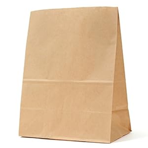 パックタケヤマ 紙袋 マチあり 角底袋 H200 未晒 100枚 XZT00398" 