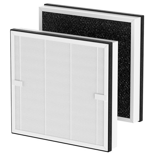 Europa 2-Pack HEPA Filter