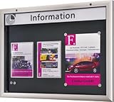 werbekasten led Aluprofile SchaarDesign Schaukasten f. d. Außenbereich, BxTxH 540x43x800 mm, DIN A2 hoch, Aluprofile, Acrylglas, Rückwand anthr., inkl. 10 Magnete + 1 Einstecktasche