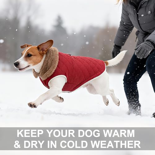 Image of BEAUTYZOO Warm Dog Puffer Jacket Vest, Dog Winter Coat with Harness, Red M