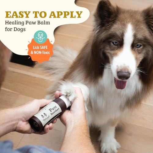 Image of Natural Dog Company Paw Balm & Wax Bundle, Paw Soother + PawTection, Protects & Heals Dry, Cracked Dog Paw Pads, Paw Pad Protector for Exteme Weather, Lick-Safe, Coconut Oil, 2oz Sticks