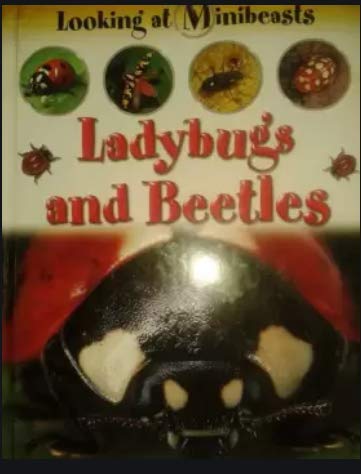 Ladybugs and Beetles 192929879X Book Cover