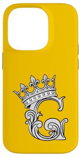 �p���� G �C�j�V���� + �N���E�� �C�G���[ �X�}�z�P�[�X iPhone 14 Pro �p