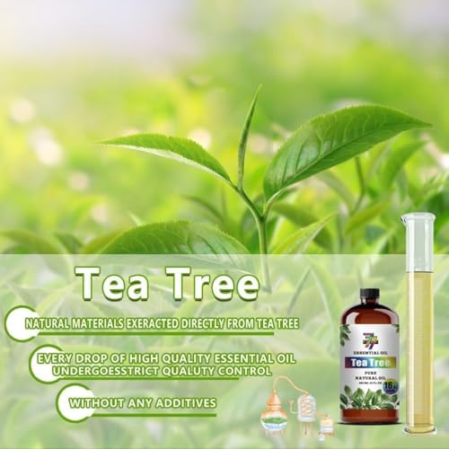 Image of Tea Tree Essential Oil for Diffuser Massage, Tea Tree Oil 16 fl oz