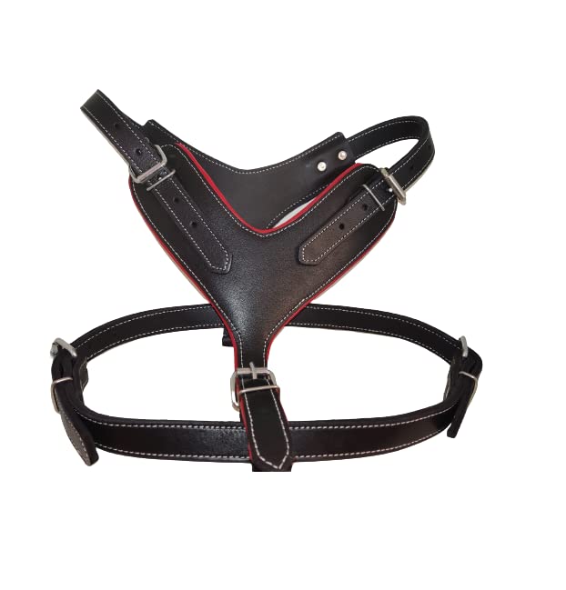 Harnais confortable pour chien L rembourré et anti-traction noir