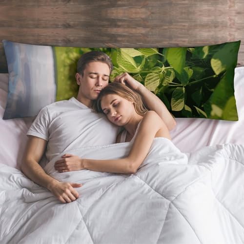 Housses de coussin polyester imprimé champ de soja 50,8 x 127 cm douces