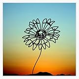 Texas Indian Blanket Bumper Sticker Vinyl Decal 5'