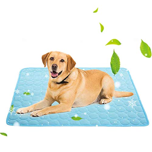 Ice Pack for Dogs The 15 best products compared Wild Explained