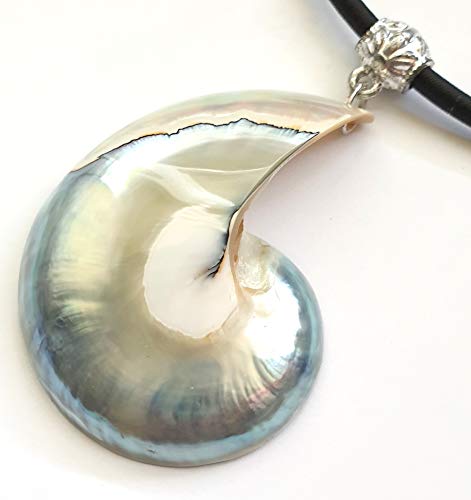 Rare Natural Pearly Open Nautilus Shell Pendant Beads Adjustable Cord Necklace Handmade Women Jewelry AA419-CR