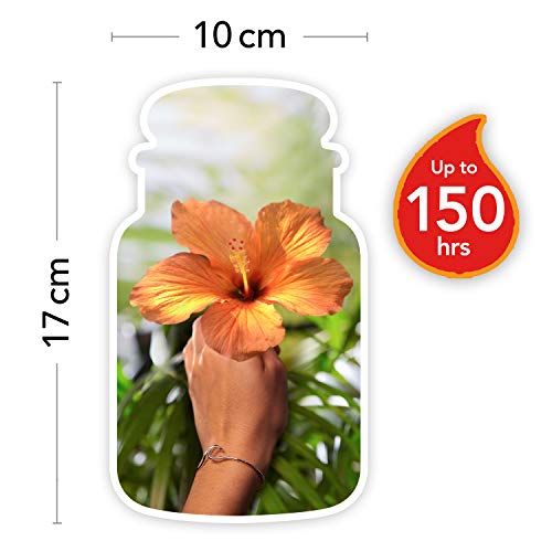 Yankee-Candle-The-Last-Paradise-Large-jar-Candle