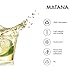 MATANA 500 Crystal Clear 1oz Plastic Shot Glasses - Mini Wine Tasting Jello Shot Cups, Party Condiments & Sauce - Reusable Bulk Pack