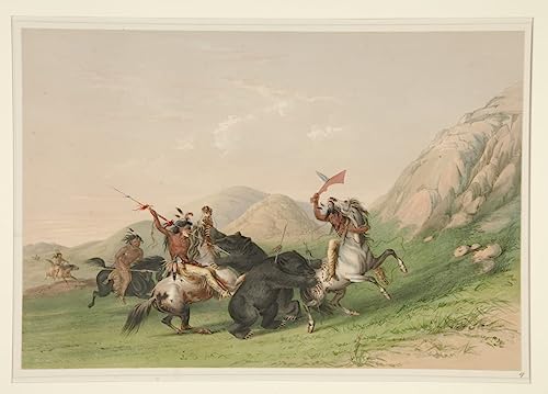 Affiches et gravures George Catlin tableau toile salon