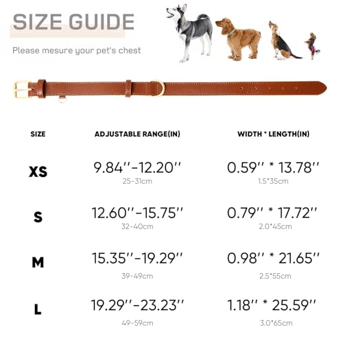 HEELE Hundehalsband aus weichem Leder, für kleine Hunde, atmungsaktiv, gepolstert, mit D-Ring, verstellbar, klassisches Hundehalsband, Braun, S