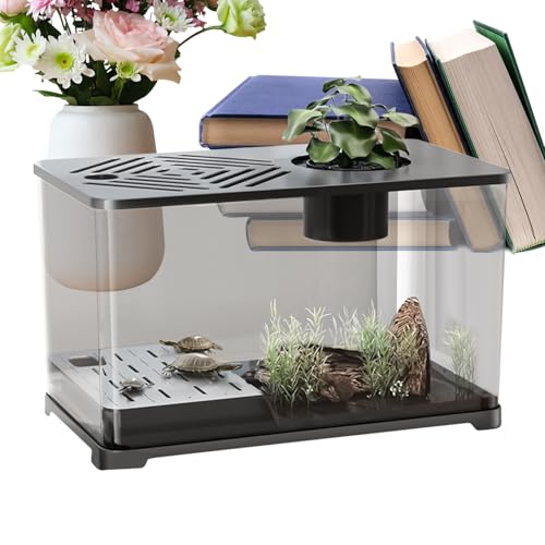  ANAE,^ANAE  X^[^[Lbg | JxGAt_eAx^EGrEA͗pz[fR[VƃfXNgbvANZT[