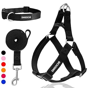 No Pull Dog Harness – Adjustable Step-in Harness & Leash Set for Small, Medium, Large Dogs – Escape Proof Soft Pet Harness for Walking, Training, Hiking, Outdoor Activities